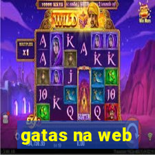 gatas na web